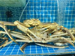 -震海贝烤贝·民俗特色店(延吉总店)