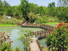 -桤木河湿地公园