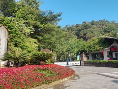 -广州白江湖森林公园