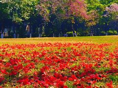 -华南师范大学(广州大学城校区)