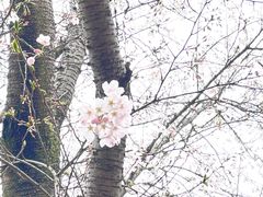 -那美(华莱坞店)