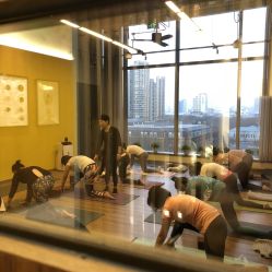 -FineYoga梵音瑜伽·普拉提