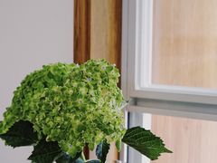 -Line 咖啡(石厦花园店)