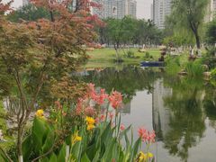 -西北湖绿化广场
