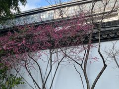 -杭州香格里拉·香宫中餐厅