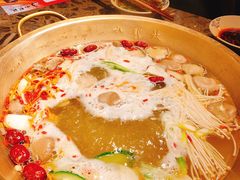 -小龙坎火锅(东汇城店)