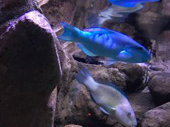 -成都浩海立方海洋公园