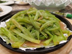-姚林轩