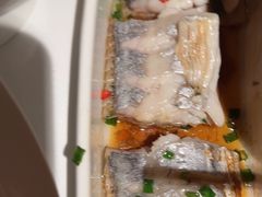 -宝轩渔府·老字号海鲜·正宗津菜(水上店)