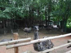 -大鹅岛绿色生态美食园