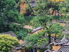 -杨家堂村