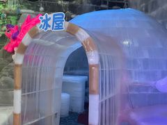 -石家庄市植物园