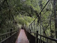 -卡定沟景区
