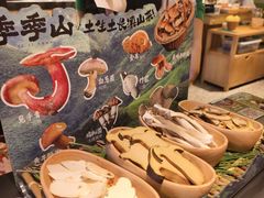 -季季山•云南野生菌火锅(上海首店)