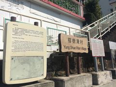 -南丫岛