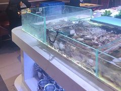 -聚盛源蒸汽海鲜火锅烤肉自助(巨川金海岸购物广场店)