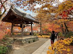 -常寂光寺