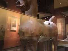 -乐山市博物馆