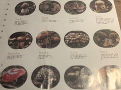 -蘑界·野生菌火锅(深业上城店)