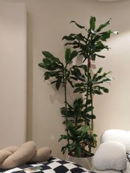 -KONSISTANT科思坦汀问题肌·科技美肤