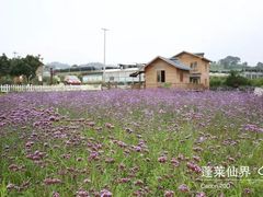 -贵阳蓬莱仙界