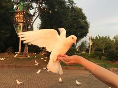 -南昌之星摩天轮