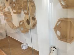 活动区-Double Rui宠物酒店