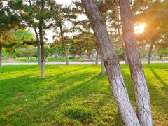 -ChanDu躔度咖啡(灯塔店)