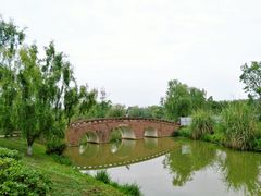 -白鹭湾湿地公园