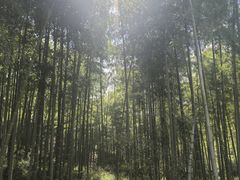 -裸心谷·裸心味餐厅