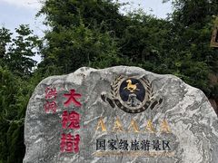 -大槐树寻根祭祖园