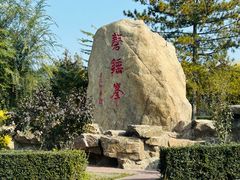 -磬锤峰森林公园