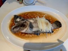 原条清蒸珍珠斑-利苑酒家(金宝店)