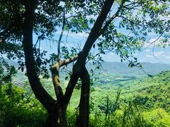 -海南槟榔谷黎苗文化旅游区