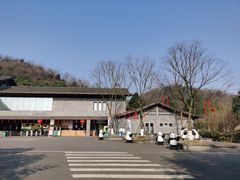 -都江堰中华大熊猫苑
