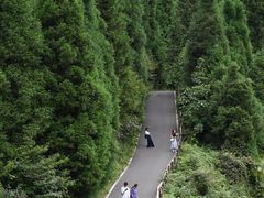 -武陵山森林公园