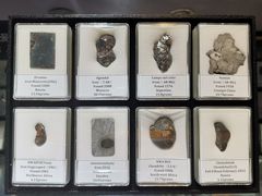 -志强陨石馆(双季花艺店)