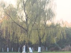 -宝鸡植物园