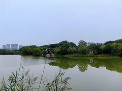 -八大山人梅湖景区