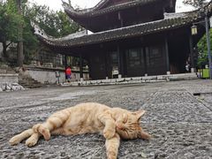 -阳明祠