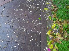 -杭州师范大学(下沙校区)