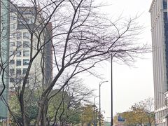-新时代家居生活广场(古墩店)