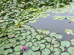 -小八仙·宴(三峡茶庄店)