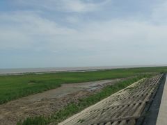 -南汇嘴观海公园