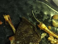 -湘芙蓉·湖南菜(椒江店)