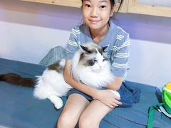 -白兔子密室(长寿路店)