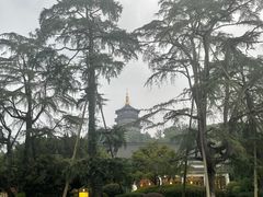 -浙江西子宾馆·牡丹厅