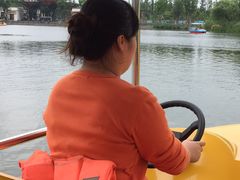 -上海长兴岛郊野公园