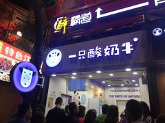 -一只酸奶牛(八一路店)