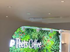 -Peet's Coffee皮爷咖啡(大学路店)